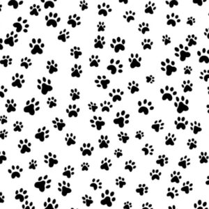 Animale__-5-